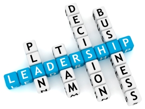 Sem-Pict-Leadership-dices